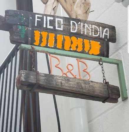 B&B Fico D'India 滨海波利尼亚诺 外观 照片